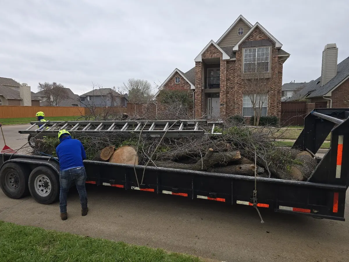 Expert Tree Pest Control with proper safety equipment in Fallston